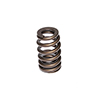 Valve Spring 1.240 Beehive