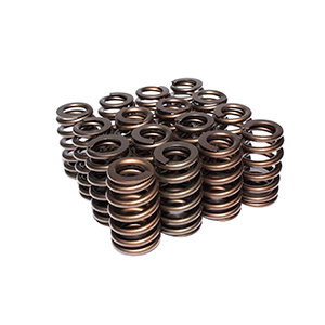 Valve Springs 1.240 Beehive