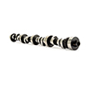 Camshaft Fw Ford 293Qio8