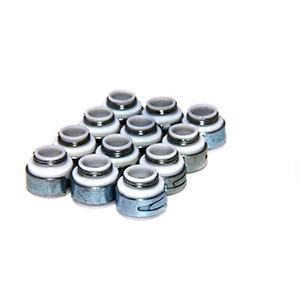 Valve Seals 5/16 Ptfe