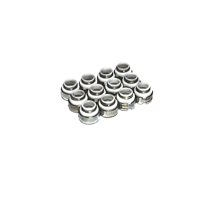 Valve Seals 3/8 Ptfe W/.500 Guide
