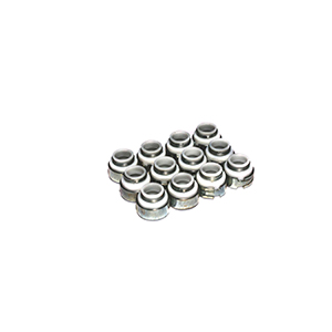 Valve Seals 5/16 Ptfe W/.500 Guide