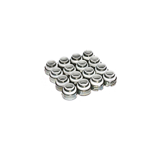 Valve Seals 5/16 Ptfe W/.500 Guide
