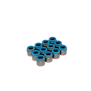 Valve Seals 5/16 Viton Metalbody W/.500