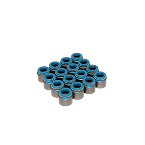 Valve Seals 5/16 Viton Metalbody W/.500