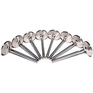 Ss Valves Sbc Int 2.020 11/32 +.100Long