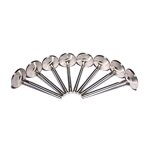 Ss Valves Sbc Int 2.020 11/32+.200Long