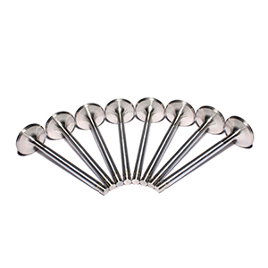 Ss Valves Sbc Exh 1.600 11/32 Std