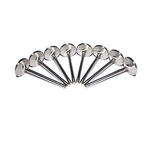 Ss Valves Ls1 Int2.055 4.900 W/.170 Tip