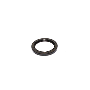 Lower Crank Seal For 6200&6300 Belt Driv