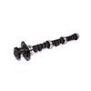 Camshaft Bv69 260H-10