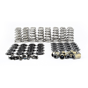 Kit Conical Valve Spring 1.286 Steel Ls Type
