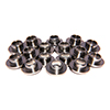 Titanium Retainers 10Deg (26095 Spring)