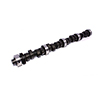 Camshaft Ih-252H-10