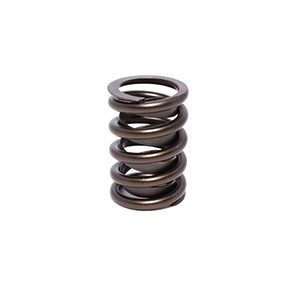 Valve Spring 1.494 Outer W/Damper