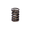 Valve Spring 1.494 Outer W/Damper