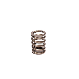 Valve Spring 1.400 Ford 240-300