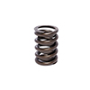Valve Spring 1.524 Outer W/Damper