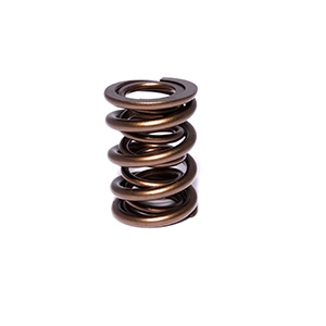 Valve Spring 1.565 2 Spring Assembly