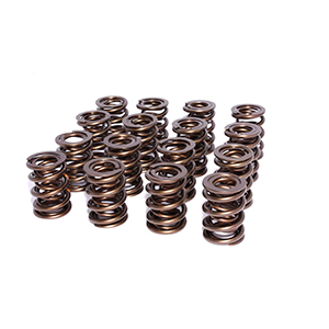 Valve Springs 1.565 2 Spring Assembly