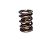 Valve Spring 1.555 2 Spring Assembly