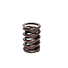 Valve Spring 1.509 Outer W/Damper