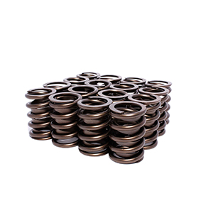 Valve Springs 1.509 Outer W/Damper