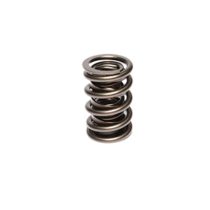 Valve Spring 1.566 2 Spring Assembly