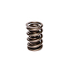 Valve Spring 1.553 2 Spring Assembly