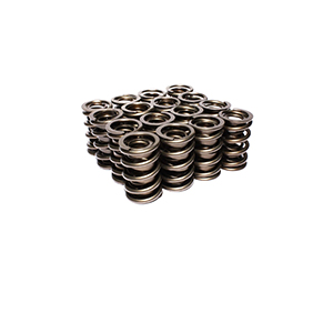 Valve Springs 1.563 Nascar