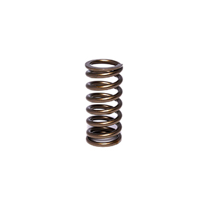 Valve Spring 1.015 Inner