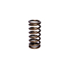 Valve Spring 1.015 Inner