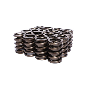 Valve Spring 1.464 Outer W/Damper