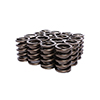 Valve Spring 1.464 Outer W/Damper