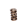 Valve Spring 1.585 Inter-Fit Dual