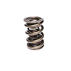 Valve Spring 1.660 Triple Assembly