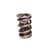 Valve Spring 1.660 Triple Assembly