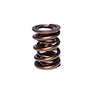 Valve Spring 1.565 Inter-Fit