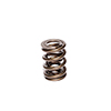 Valve Spring 1.660 2 Spring Assembly