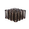 Valve Springs 0.970 Inner
