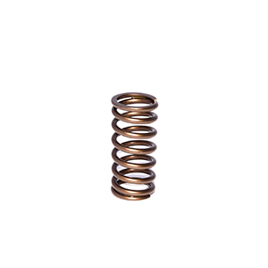 Valve Spring 0.937 Inner Blue