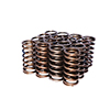 Valve Springs 0.937 Inner Blue