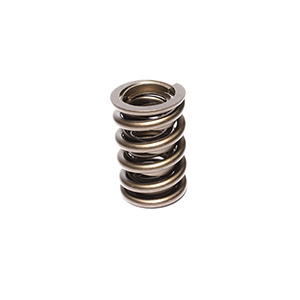 Valve Spring 1.460 For 972- 973