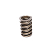 Valve Spring 1.460 For 972-974