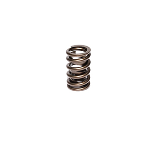 Valve Spring 1.254 Outer W/Damper