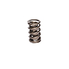 Valve Spring 1.430 For 984- 974