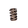 Valve Spring 1.551 H-11 Assembly