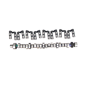 Cam & Lifter Kit Crs 291T Hr-7 Mt Thump