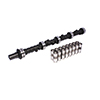 Cam & Lifter Kit B350 252H