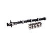 Cam & Lifter Kit B455 252H
